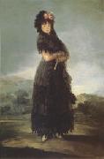 Francisco de Goya Portrait of Mariana Waldstein (mk05) oil painting picture wholesale